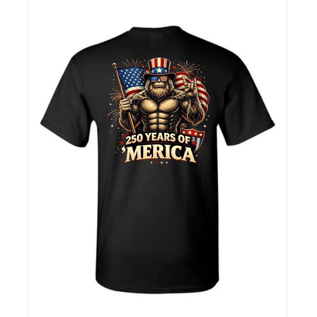 250 Years of Merica 4th of July Back Print T-Shirt
