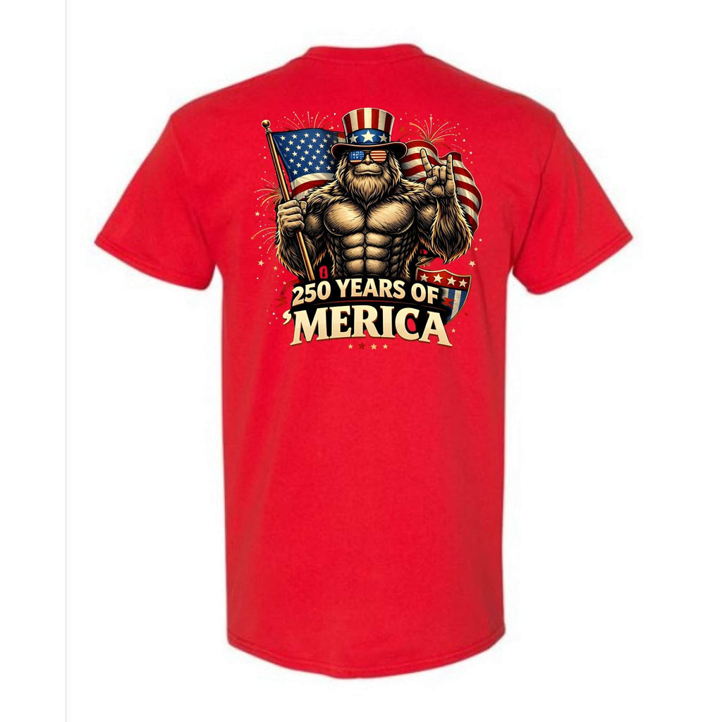 250 Years of Merica 4th of July Back Print T-Shirt